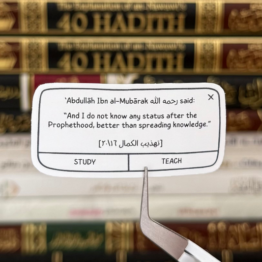 Set of 2: Gems of 'Ilm